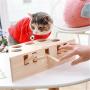 ShiLei Fun Toy for Cats, Interactive Wooden Solid W Mouse, Round Design, fine Workmanship, no Sharp Edges