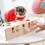 ShiLei Fun Toy for Cats, Interactive Wooden Solid W Mouse, Round Design, fine Workmanship, no Sharp Edges