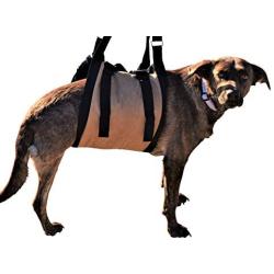 Travelin K9 Large Dog Lift Harness - Dog Support Harness - Dog Stair Lift - Dog Car Lift. For Disabled Dogs, Elderly Dogs, Injured Dogs, to support dogs back legs, and as a Dog Rehabilitation Harness