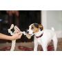 HuggleHounds Durable, All-Natrual Rope Knotties, Dog Toy