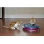 Bergan Mega Turbo Scratcher, Multicolor