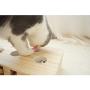 Litewood Cat Toy Wooden Puzzle Box Interactive Mouse Solid Whack-a-mole Exercise Toys