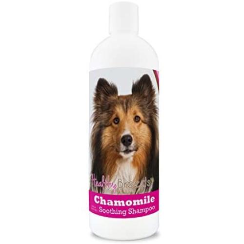 Healthy Breeds Chamomile Dog Shampoo & Conditioner with Oatmeal & Aloe for Shetland Sheepdog - OVER 200 BREEDS - 8 oz - Gentle for Dry Itchy Skin - Safe with Flea and Tick Topicals