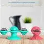 INZENYN Windmill Cat Toy Turntable Teasing Pet Toy Scratching Tickle Cats Hair Brush Funny Cat Toy (Blue) INZENYN Windmill Cat Toy Turntable Teasing Pet Toy Scratching Tickle Cats Hair Brush Funny Cat Toy (Blue)