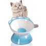 Jemirry Raised Cat Bowls, Elevated Ceramic Cat Dish Food Bowl Pet Feeder, Ceramic Pet Food Bowl for Flat-Faced Cats,Small Dogs
