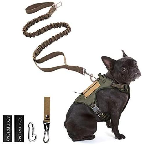 PETAGE Dog Harness and Dog Leash 6FT Heavy Duty Dog Leash with 2 Padded Handles