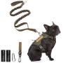 PETAGE Dog Harness and Dog Leash 6FT Heavy Duty Dog Leash with 2 Padded Handles