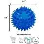 Gnawsome 2.5” Spiky Squeaker Ball Dog Toy - Small, Cleans teeth and Promotes Dental and Gum Health for Your Pet, Colors will vary