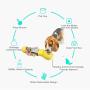 Water Bottle for Dog, Dog Travel Water Bottle, Drinking Feeder with Potty Waste Bags Shovel and Food Space Bpa-Free 3 in 1 Multifunction