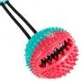 Qamou Dog Chew Toys,Suction Cup DogToy, Dog Ball with Suction Cup,Chewers Toothbrush,Pet Molar Bite, Small Medium Dog Rope Toys Puppy Teeth Cleaning,Chewing Interactive Food Treat (Ball) Qamou Dog Chew Toys,Suction Cup DogToy, Dog Ball with Suction Cup,Chewers Toothbrush,Pet Molar Bite, Small Medium Dog Rope Toys Puppy Teeth Cleaning,Chewing Interactive Food Treat (Ball)
