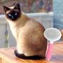 Self Cleaning Slicker Brush, Cat Brush/Dog Brush for Grooming and Shedding, Pet Brush Gently Remove Long and Loose Undercoat, Mats and Tangled Hair