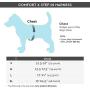 Gooby Dog Harness - Comfort X Step-in Small Dog Harness with Patented Choke-Free X Frame - Perfect on The Go No Pull Harness for Small Dogs or Cat Harness