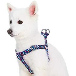 Blueberry Pet 5 Patterns Silkscreen Print/Flocking Print Dog Harnesses