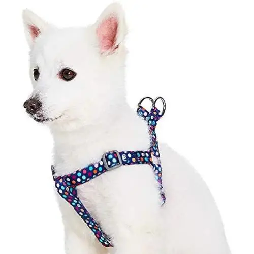 Blueberry Pet 5 Patterns Silkscreen Print/Flocking Print Dog Harnesses Blueberry Pet 5 Patterns Silkscreen Print/Flocking Print Dog Harnesses
