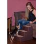 Pet Gear Pet Step with Stair Landing for Small Dogs, Miniatures, and Cats, for Pets up to 50 pounds