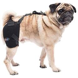 Caldera International Pet Therapy Hip Wrap with Gel, Small, Black