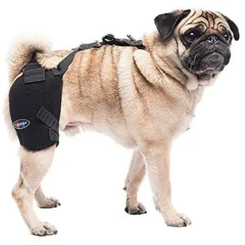 Caldera International Pet Therapy Hip Wrap with Gel, Small, Black Caldera International Pet Therapy Hip Wrap with Gel, Small, Black