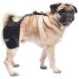 Caldera International Pet Therapy Hip Wrap with Gel, Small, Black