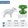 SCENEREAL Christmas Dog Harness Vest with Leash Set 2 Packs -Holiday Adjustable Soft Mesh Harnesses Snowman Elk Pattern Label Green Red Medium