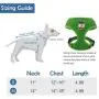 SCENEREAL Christmas Dog Harness Vest with Leash Set 2 Packs -Holiday Adjustable Soft Mesh Harnesses Snowman Elk Pattern Label Green Red Medium SCENEREAL Christmas Dog Harness Vest with Leash Set 2 Packs -Holiday Adjustable Soft Mesh Harnesses Snowman Elk Pattern Label Green Red Medium
