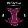 azuza Puppy Harness and Leash Set, Reflective Air Mesh Dog Vest Harness, All Weather Comfort Dog Harness for Small Dogs