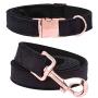 ARING PET Dog Collar and Leash, Velvet Dog Collar and Leash Set, Soft & Comfy, Adjustable Collars for Dogs