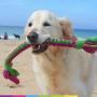 DogDirect London, Dog TUG Toy Tugger Tug Chase Rope Small: 45cm/17in, Large: 75cm/29in, Soft Plaited Flexible Fleece Dog Toys Ideal for Training, Puppy Play, Hand Made (Large, Black-Blue) KL6