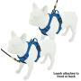 Voyager Dual Attachment Outdoor Dog Harness by Best Pet Supplies | NO-Pull Pet Walking Vest Harness