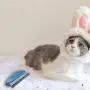 Pet Hair Remover Brush Cat Dog Hair Remover Comb Pet Hair Detailer for Car Interiors Furniture Carpet Couch Sofa Bed Clothes Blinds Pet Hair Cleaning Remover Brush Cat & Dog Hair lint Remover Brush Pet Hair Remover Brush Cat Dog Hair Remover Comb Pet Hair Detailer for Car Interiors Furniture Carpet Couch Sofa Bed Clothes Blinds Pet Hair Cleaning Remover Brush Cat & Dog Hair lint Remover Brush