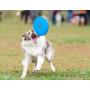 Dafang Dog Frisbee Toy, Best Flying, Dog Frisbee Indestructible Assorted Flying Disk for Outside Play, Colorful Flying Disc Toys (23.5CM)