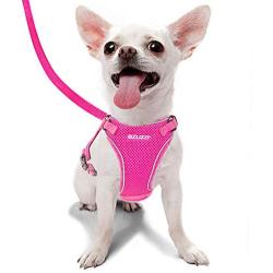 azuza Puppy Harness and Leash Set, Reflective Air Mesh Dog Vest Harness, All Weather Comfort Dog Harness for Small Dogs