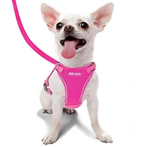 azuza Puppy Harness and Leash Set, Reflective Air Mesh Dog Vest Harness, All Weather Comfort Dog Harness for Small Dogs