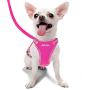azuza Puppy Harness and Leash Set, Reflective Air Mesh Dog Vest Harness, All Weather Comfort Dog Harness for Small Dogs