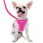 azuza Puppy Harness and Leash Set, Reflective Air Mesh Dog Vest Harness, All Weather Comfort Dog Harness for Small Dogs
