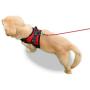 Copatchy No Pull Reflective Adjustable Dog Harness with Handle