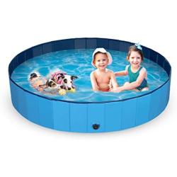 Large Dog Kid Swimming Pool - Foldable Pet Baby Kiddie Bathtub Pool Hard Plastic for Dogs Cats and Kids, Blue