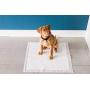 Petmate Little Stinker Housebreaking Pads 6-Layer Liquid Lock Varying Multi-packs Available