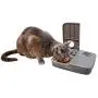 PetSafe Automatic 2 Meal Pet Feeder for Dogs and Cats, with Portion Control and Tamper-Resistant Design, Dry or Semi-Moist Food or Treat Dispenser, 1.5 Cups per Compartment, 3 Cups Total Capacity