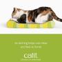 Catit Style Scratcher with Catnip, Jungle-Stripe Lounge
