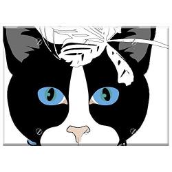 Triple Blank Wall Plate Cover - Cat Gata Animal Cat Face Feline Design Pet