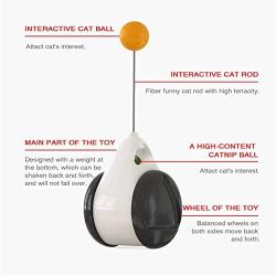 GiWuh Interactive Cat Toys for Indoor, Balance Car Design, Wheel Training Toys with Tumbler Balanced, Pet Toys, Kitten Sports Educational Toys