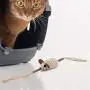 AnHua 3 Pcs Cats Chew Toy Cat Chew Sticks Dental Health Clean Remove Cat Tartar Pet Toys Interactive Funny cat Molar Tool AnHua 3 Pcs Cats Chew Toy Cat Chew Sticks Dental Health Clean Remove Cat Tartar Pet Toys Interactive Funny cat Molar Tool