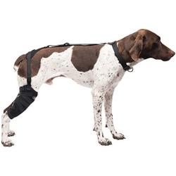 Caldera Pet Therapy Tall Stifle Wrap with Gel, Medium/Tall, Black