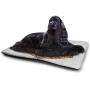 DayDayFun Tan and Brown Dog Mat Artistic Classical Flowers Pattern with Baroque Style Details and Retro Look Waterproof and Warm Pet Mattress Multicolor