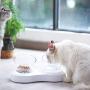 Double Cat Bowl with Raised Stand,15°Tilted Platform Cat Feeders Food and Water Bowls,Reduce Neck Pain for Cats and Small Dogs