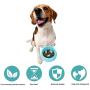 Lorpect Dog Bowl Slow Feeder, Interactive Bloat Stop Pet Bowl for Fast Eaters, Non-Slip Anti Choke Healthy Diet Bowls