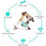 Gbziyjk Dog Toothbrush Chew Toys Teeth Cleaning Multifunction Puppy Molar Stick Dental Oral Care for Small Medium Dogs Pet, Blue