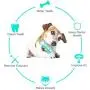 Gbziyjk Dog Toothbrush Chew Toys Teeth Cleaning Multifunction Puppy Molar Stick Dental Oral Care for Small Medium Dogs Pet, Blue Gbziyjk Dog Toothbrush Chew Toys Teeth Cleaning Multifunction Puppy Molar Stick Dental Oral Care for Small Medium Dogs Pet, Blue