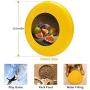 Pet Frisbee Flying Disc Dog Toy - Multifunction Figs Robert Papp
