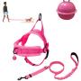 XIRGS Walking Dog Harness and Leash Set, Soft Flannel Padded Dog Halter & Lead No Pull Puppy Vest Adjustable Pet Training Harness Quick Fit Easy for Walking Running Training Small Dog